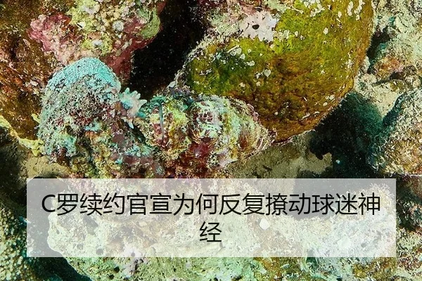 luo-xu-yue-guan-xuan-wei-he-fan-fu-liao-dong-qiu-mi-shen-jing-1-199.jpg - yunsports